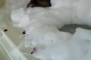 Outcalls incalls wassup hmu !!... - Image 3